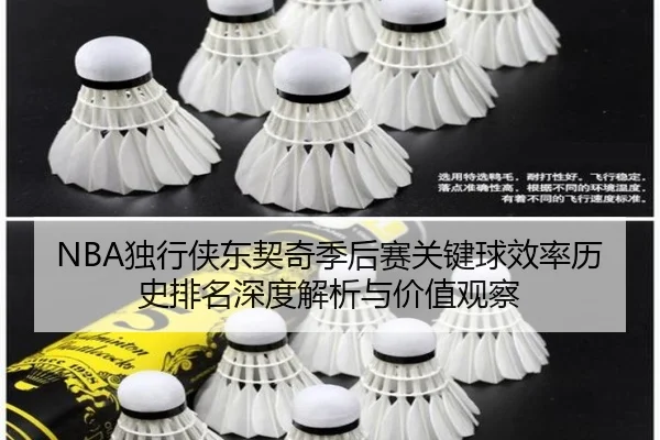 NBA独行侠东契奇季后赛关键球效率历史排名深度解析与价值观察