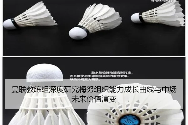曼联教练组深度研究梅努组织能力成长曲线与中场未来价值演变