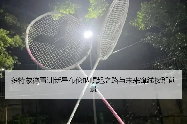 多特蒙德青训新星布伦纳崛起之路与未来锋线接班前景
